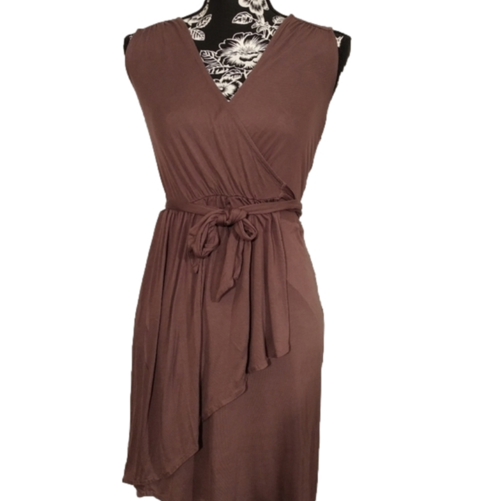 Dusty Rose Loft Wrap Dress XS Petite